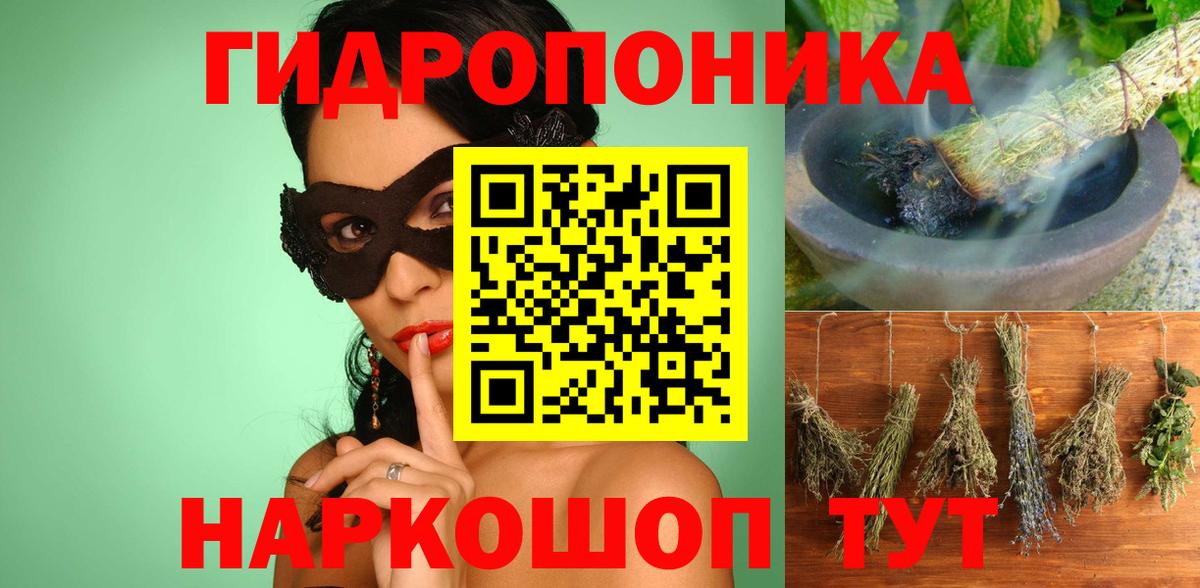 Конопля гибрид Зеленогорск